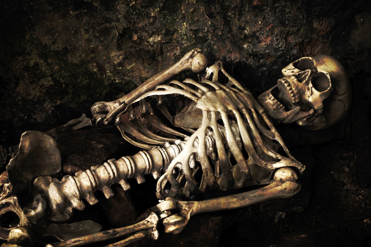 Czaszki, kości i szkielety są… tanie i niemal każdy może je kupić!
