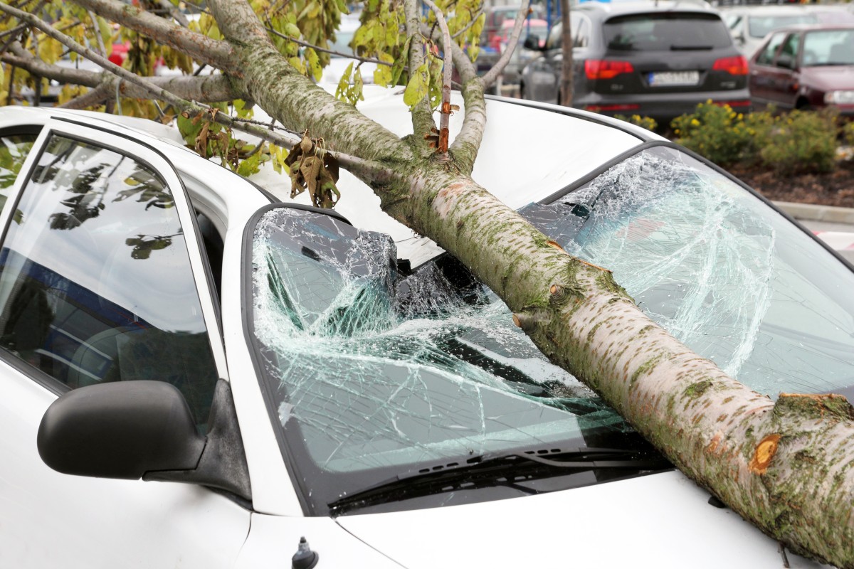 Kto zapłaci odszkodowanie, gdy drzewo zawaliło się na dom lub samochód podczas burzy?