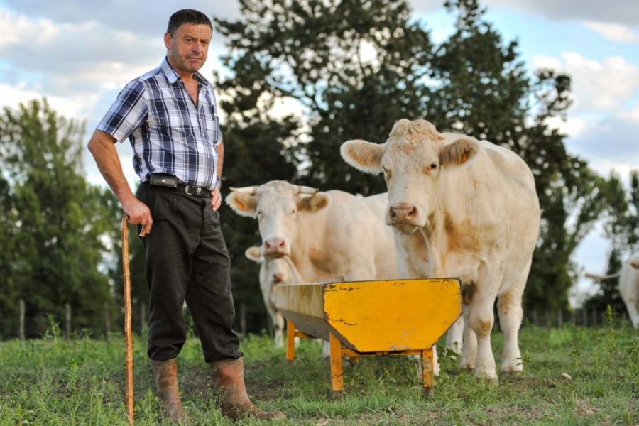 Chcieli dobrze, rolnik będzie nietykalny – i dlatego nie dostanie na przykład żadnego kredytu