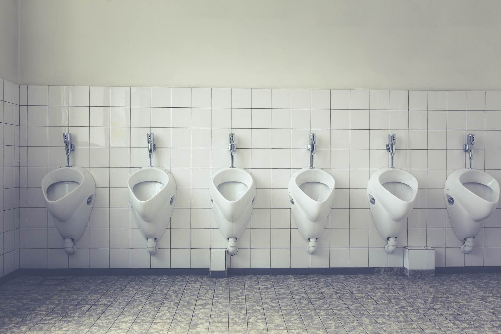 22 tysiące ludzi odpuściło sobie lekturę regulaminu WiFi – i zgodzili się na… czyszczenie toalet