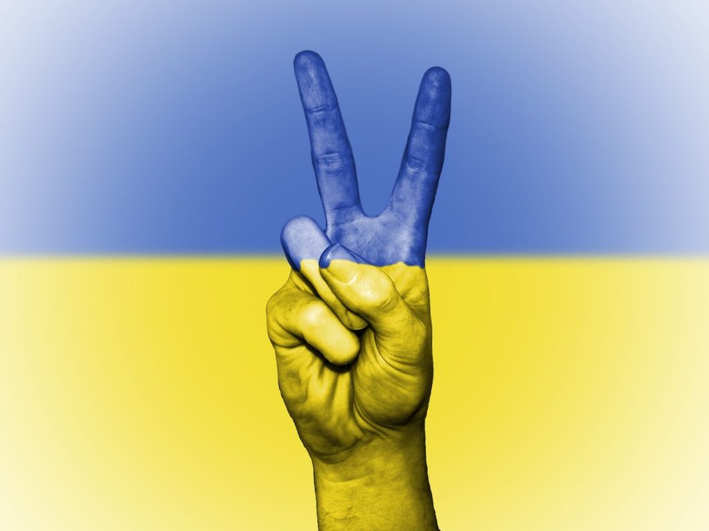 Kto zostanie nowym prezydentem Ukrainy – Wójt Kozioł czy ukraiński Kulczyk?