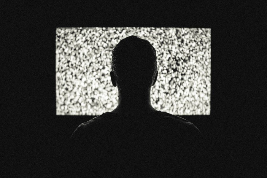 Rada Języka Polskiego w grzecznych słowach nazwała TVP szczujnią