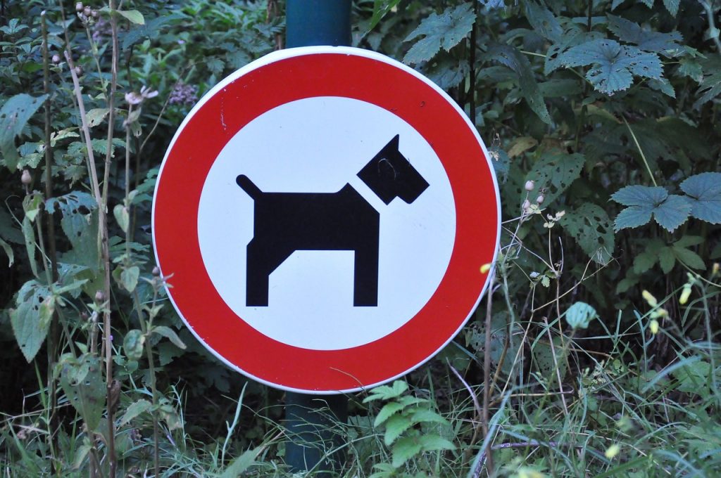 Zakaz wprowadzania psów jest nielegalny. Z psami można dowolnie korzystać z przestrzeni publicznej