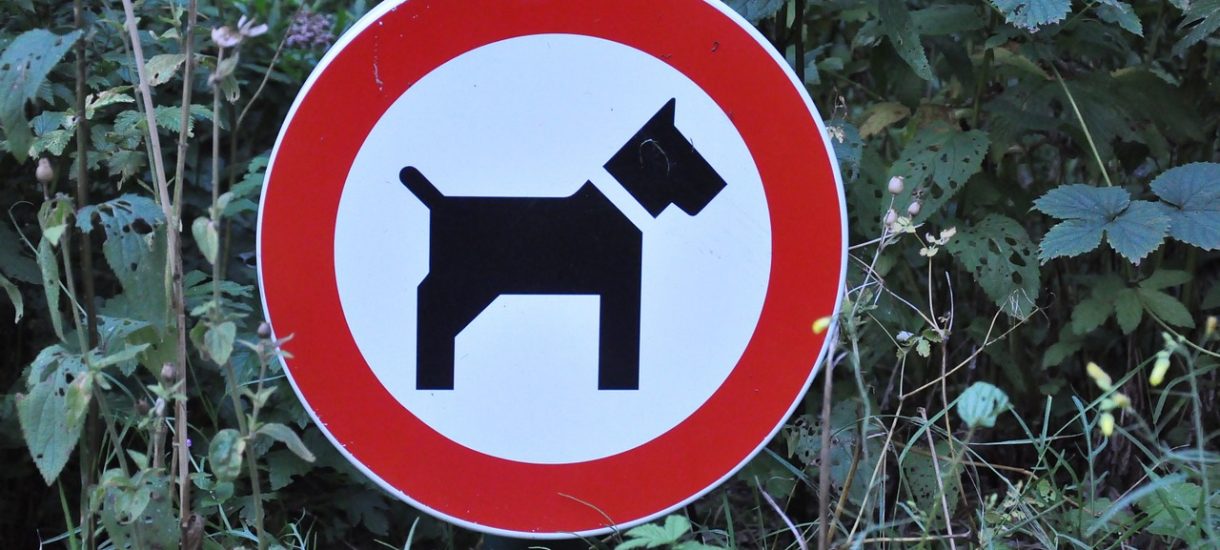 zakaz wprowadzania psow jest nielegalny