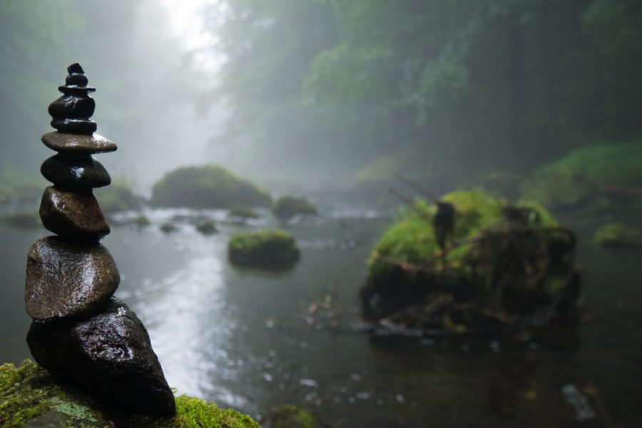 Mężczyźnie za kradzież kamieni z rzeki grozi 5 lat więzienia. Dlaczego w ogóle takie działanie jest przestępstwem, skoro natura to dobro wspólne?