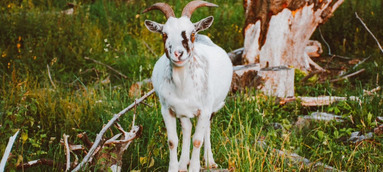 podrobienie upoważnienia do konta