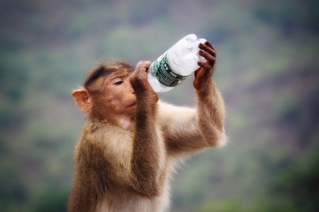Polacy kupują codziennie 3 mln buteleczek z wódką. Samorządy się zbuntowały – idzie koniec małpek