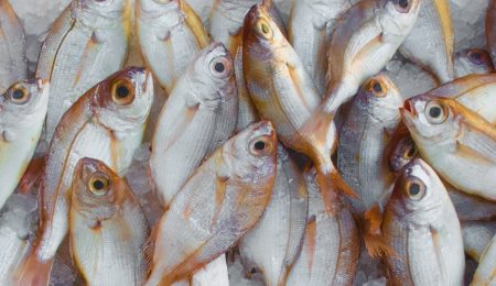 Pracownik Carrefoura znęca się nad rybami, pakując je żywe do torby bez wody? Jeśli tak było faktycznie, to jest to przestępstwo