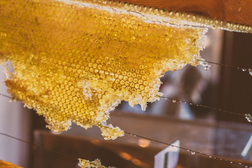 Odszkodowanie za użądlenie pszczoły