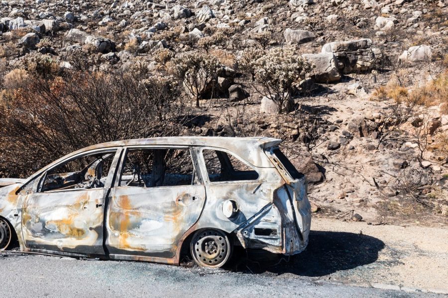Zmiany w procedurze corocznego przeglądu technicznego samochodu, diagnosta sfotografuje twoje auto