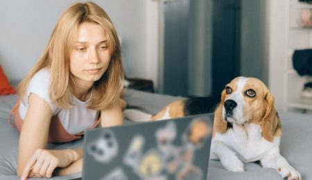 Wielu studentów prawa nie podejdzie w tym roku do egzaminów na aplikacje z powodu koronawirusa