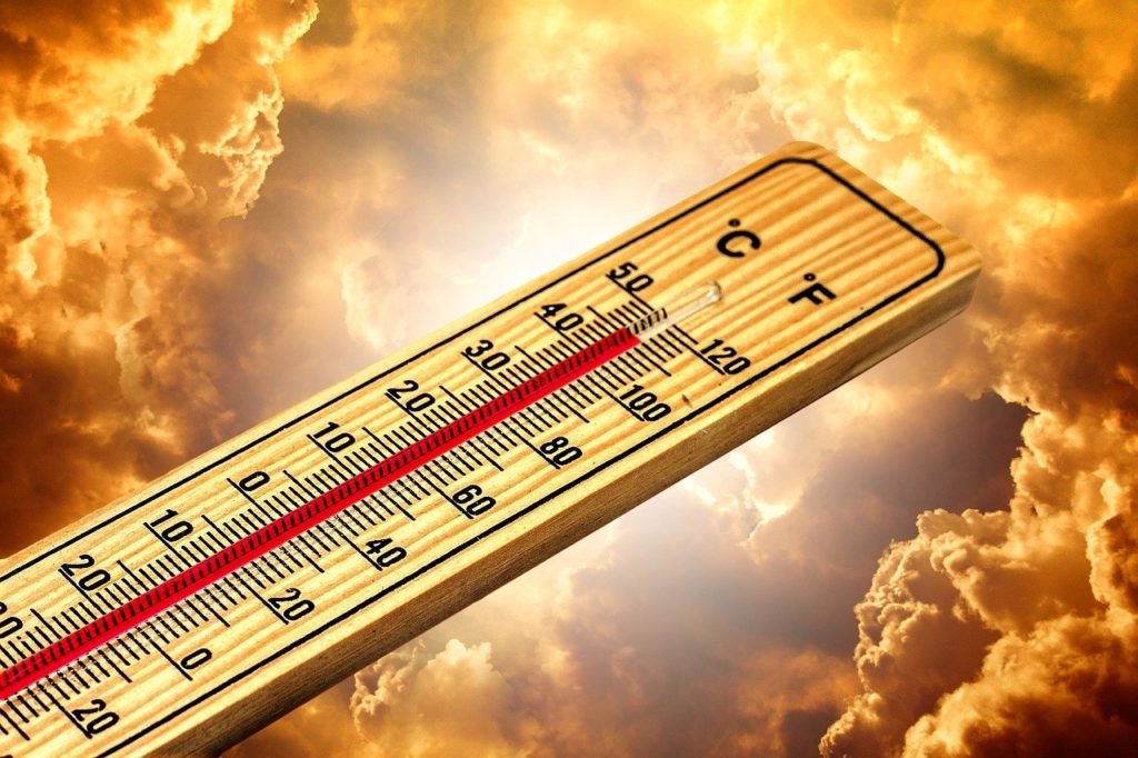 Padł rekord temperatury w lutym – aż 22 stopnie Celsjusza. Nauka po raz kolejny wygrywa z chłopskim rozumem w kwestii klimatu