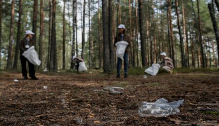 Niemcy chcą walczyć ze śmieciami, ograniczając liczbę… śmietników