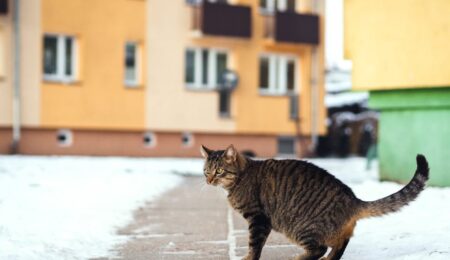 Rząd zdecydował. Będą nowe wymagania dla mieszkań od dewelopera