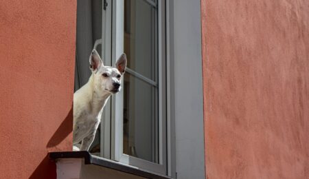 Zbadano, co Polacy sądzą o deweloperach. Wyników łatwo się domyślić, choć są też pewne niespodzianki