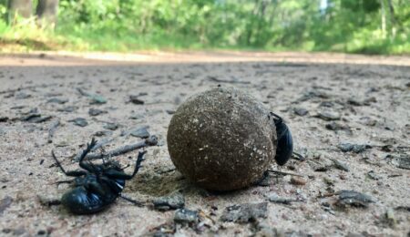 Turyści zostawiają w Tatrach zbyt wiele. Jest pomysł, by pakowali to w woreczki