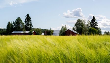 Małżonkom łatwiej jest zasiedzieć nieruchomość