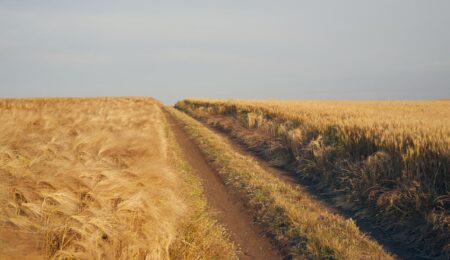 Najwięksi płatnicy podatków są jeszcze ważniejsi w trakcie wojny. Ukraina już się o tym przekonała