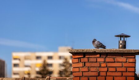 W niektórych miastach w Polsce całkowita wymiana kopciuchów potrwa ponad 200 lat