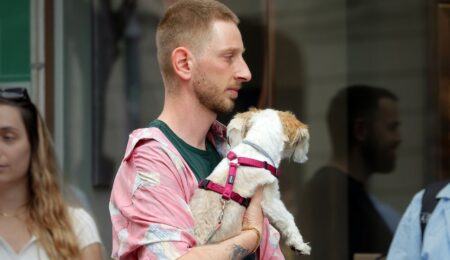 Adopcja zwierzaka bywa uzależniona od historii chorób psychicznych w rodzinie. To już przesada, gdy łatwiej adoptować dziecko