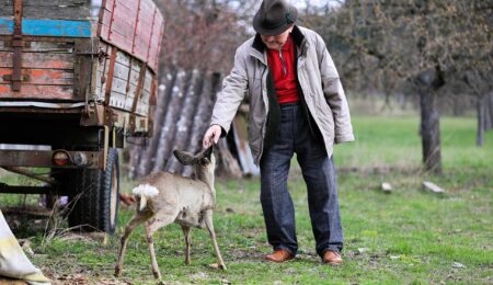 Umowa dożywocia wcale nie gwarantuje, że senior będzie mógł mieszkać w swoim domu do końca życia